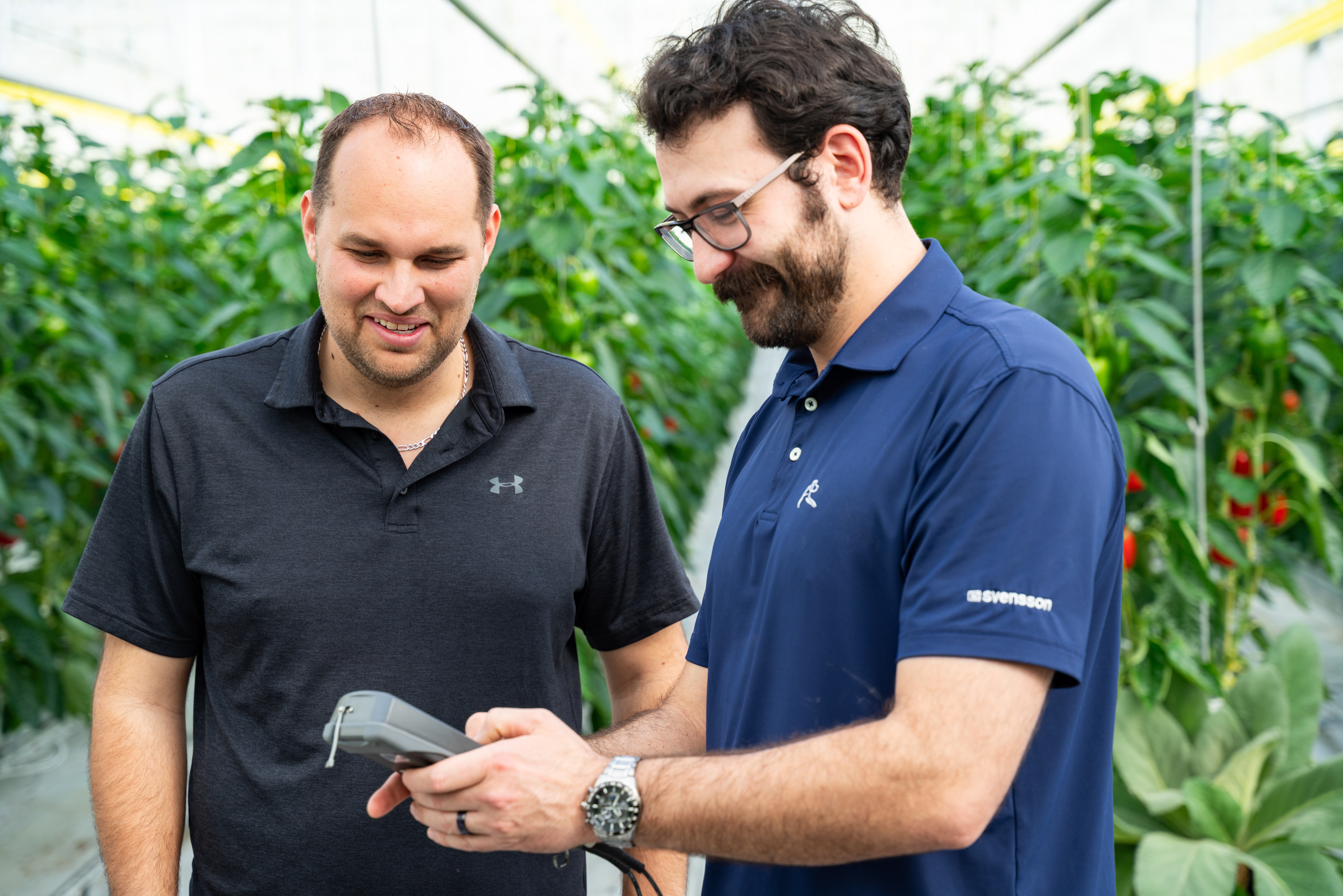CS - Twin Creeks - Paul Arena and grower - Peppers - Canada