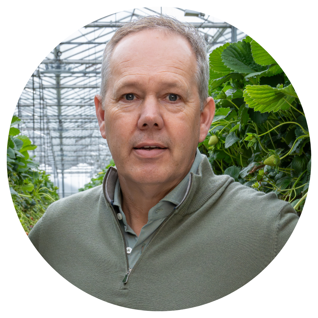 CS - Bart Bakker - Netherlands - Strawberries - 2026 Photos.png