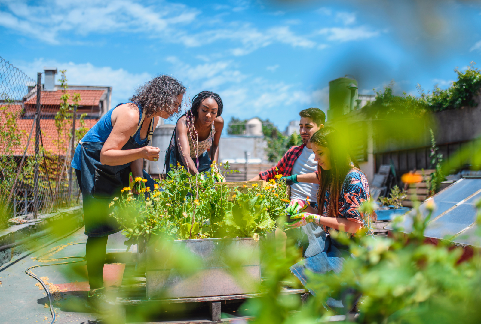 CS - Highlights - Market Trends - Farmers Market - Community Farm.png