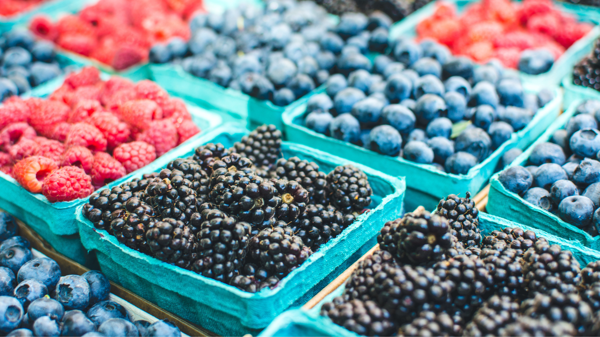 CS - Highlights - Berries - Berry Baskets - The Bulb.png