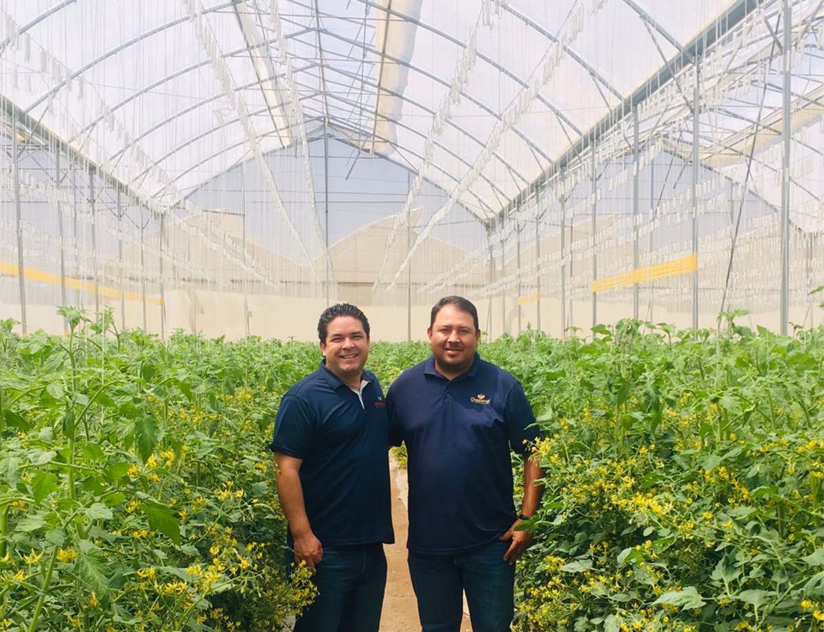 cs - santiago - growers.jpg