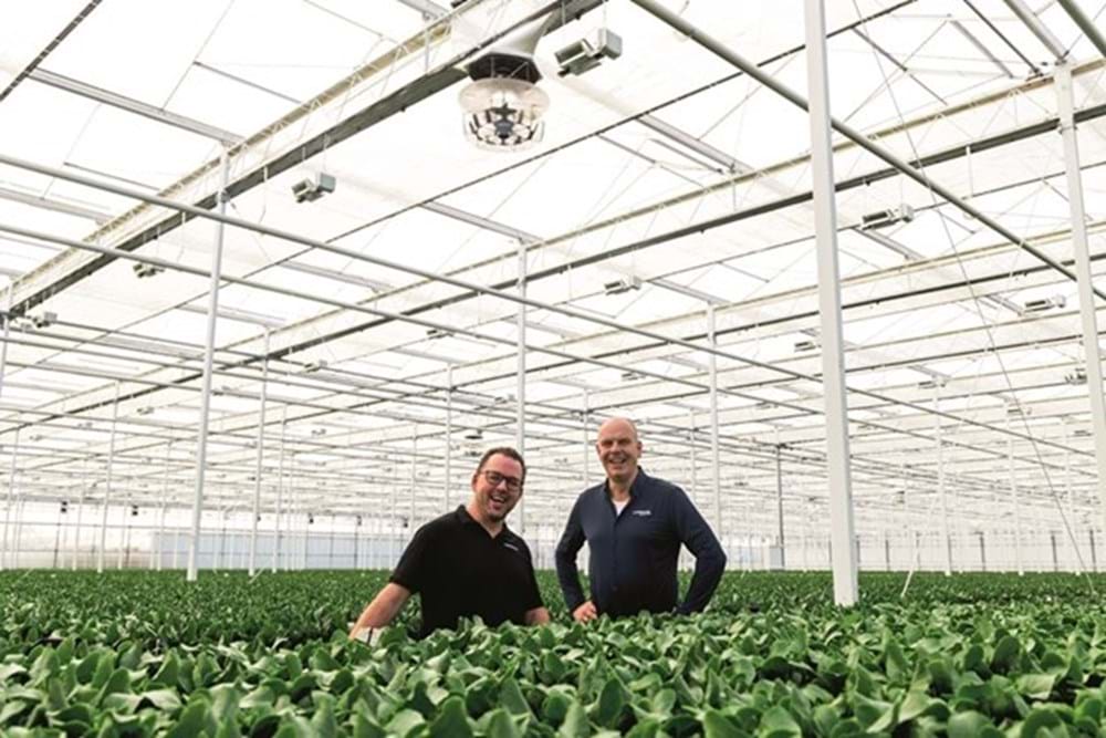 cs - Lankhaar - grower pic.jpg