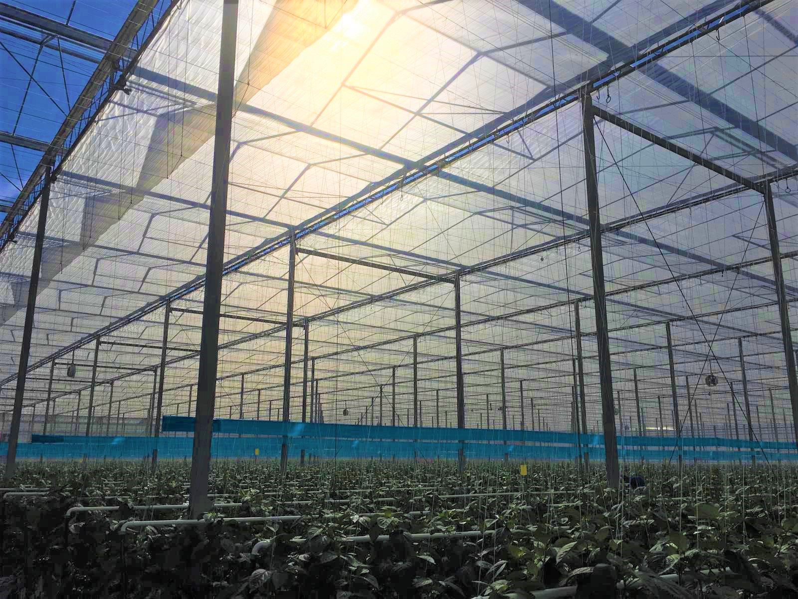 CS - Highlights - Screen - Energy Curtains.jpg