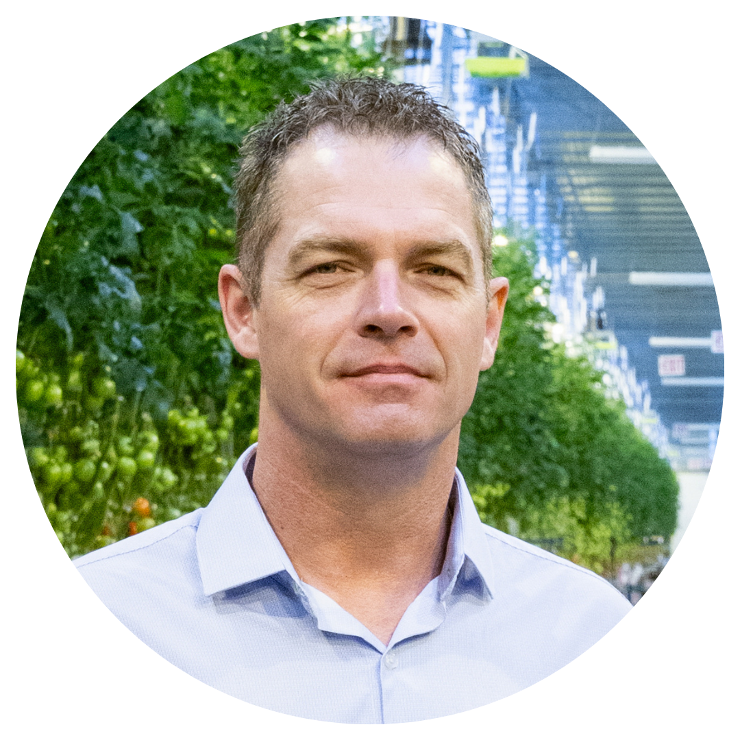 CS - Dustin Mater - Canada - 2026 Photos - Tomatoes.png