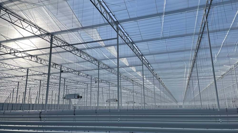 cs - schenkeveld - greenhouse new clean.jpg