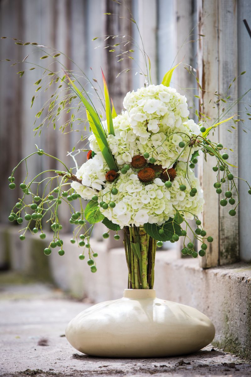 cs - hortensia.jpg