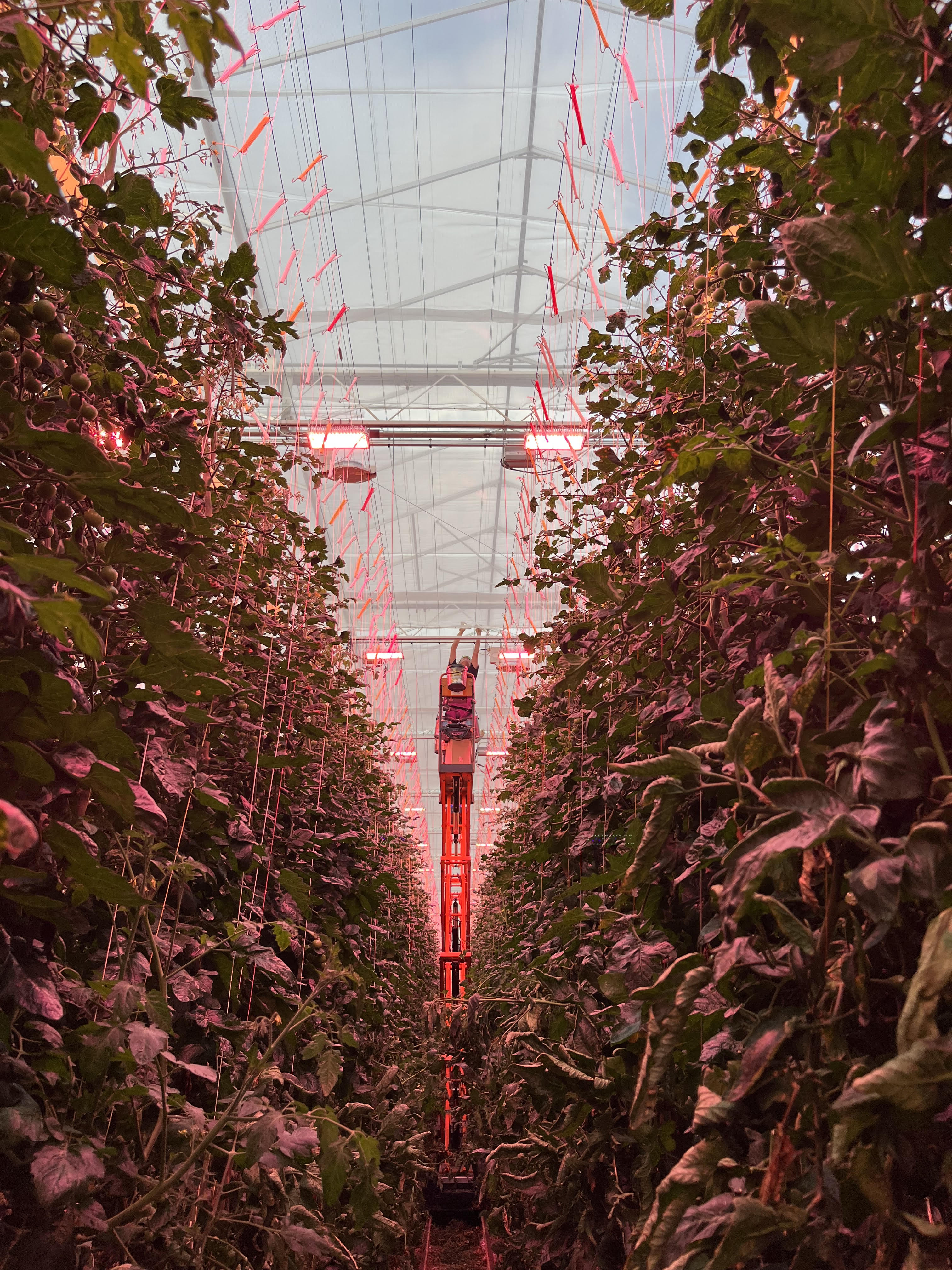 cs-thanet-earth_new-climate-screen-pic-1.jpg