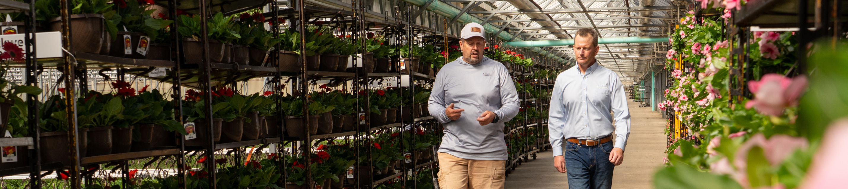 CS - Know How Banner - Matt Newell - Potplants - Rockwell Farms - United States