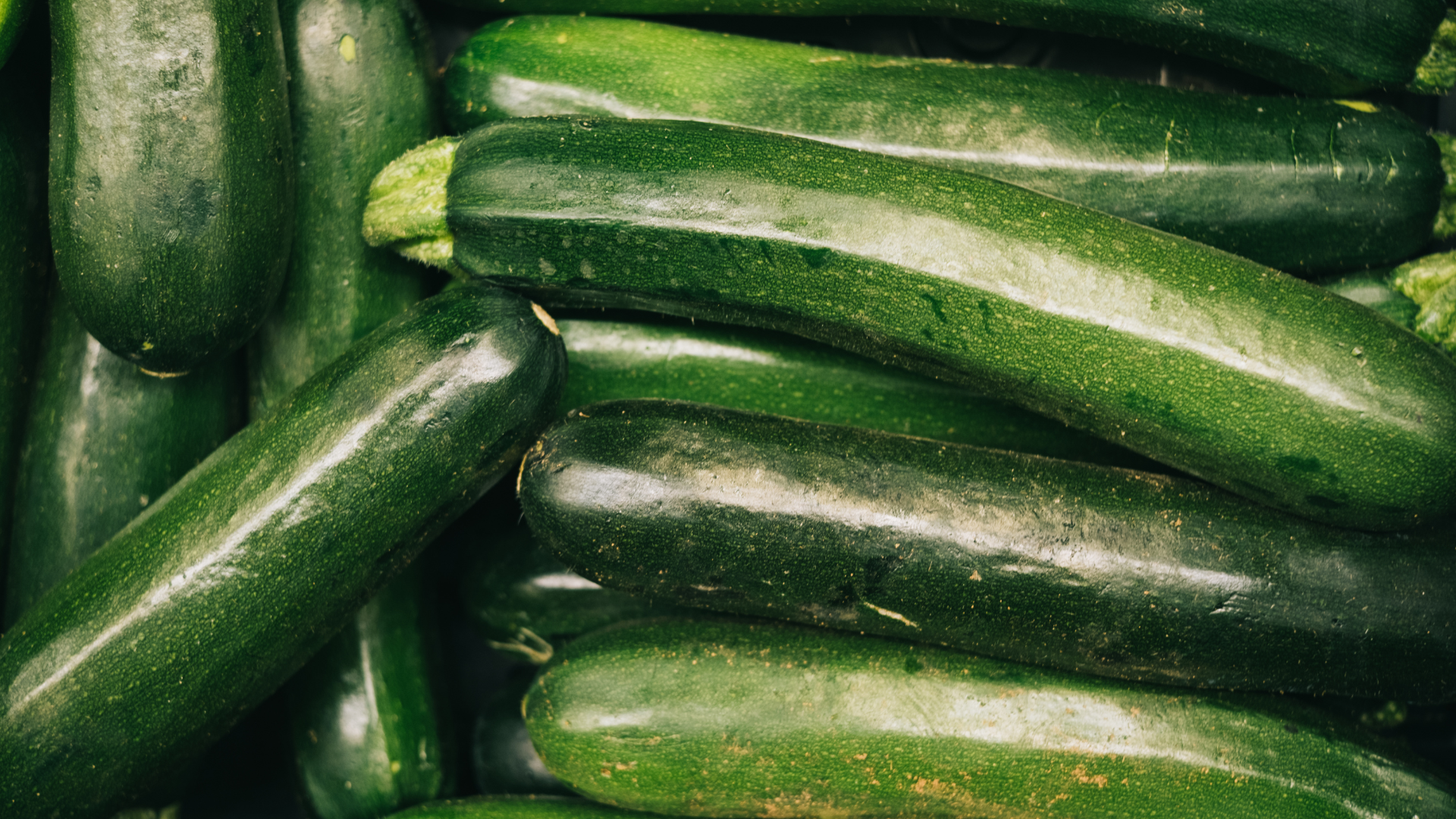 CS - Zucchini - Martin Brothers - 2021 - Spain.png